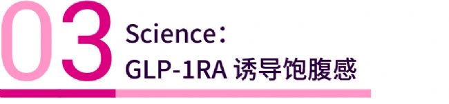 国内获批：司美格鲁肽！市场热捧的 