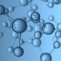 重  组  羧  肽  酶  B