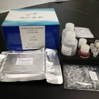 HBV特异性T细胞定量检测试剂盒(第二代)