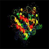 Recombinant Human GCHFR