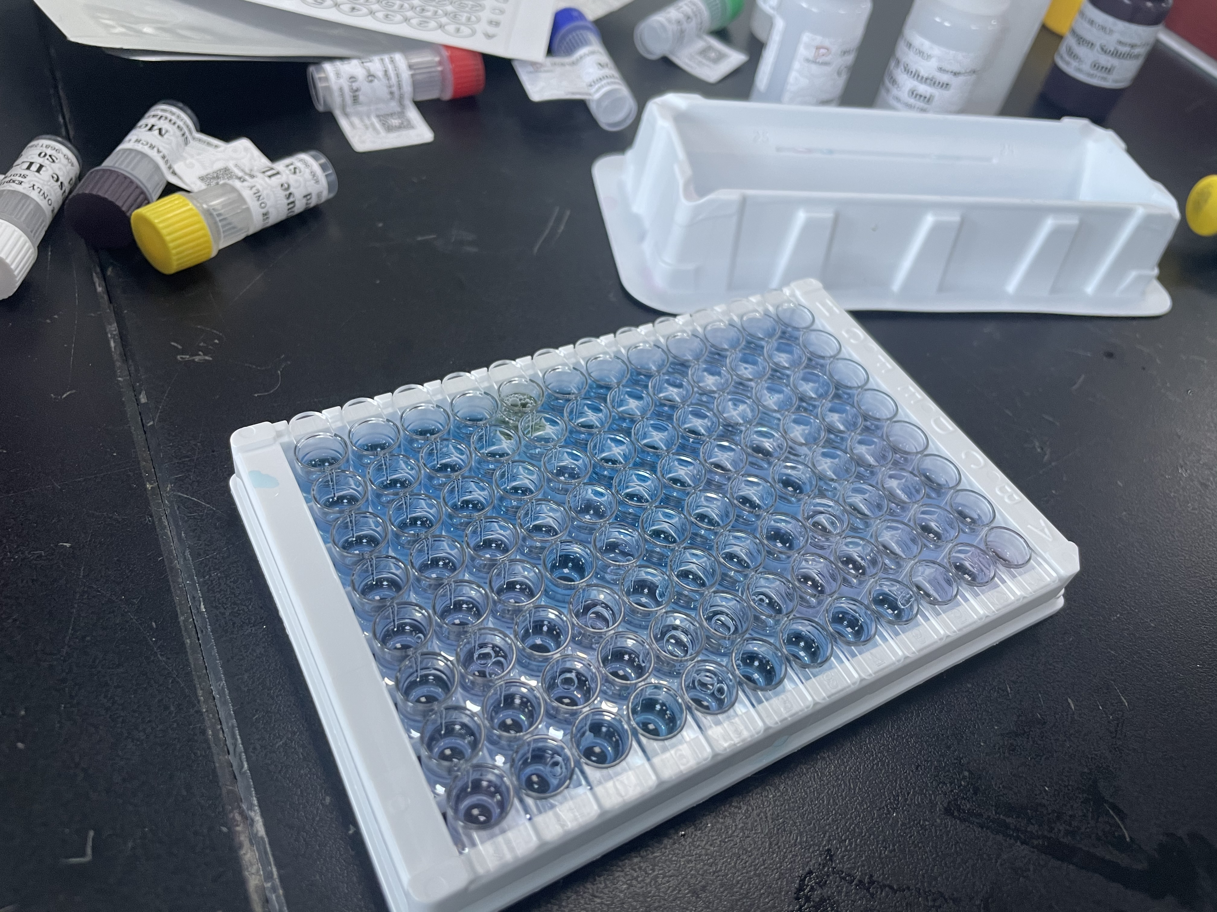 牛髓过氧化物酶抗体(Anti-MPO)ELISA试剂盒