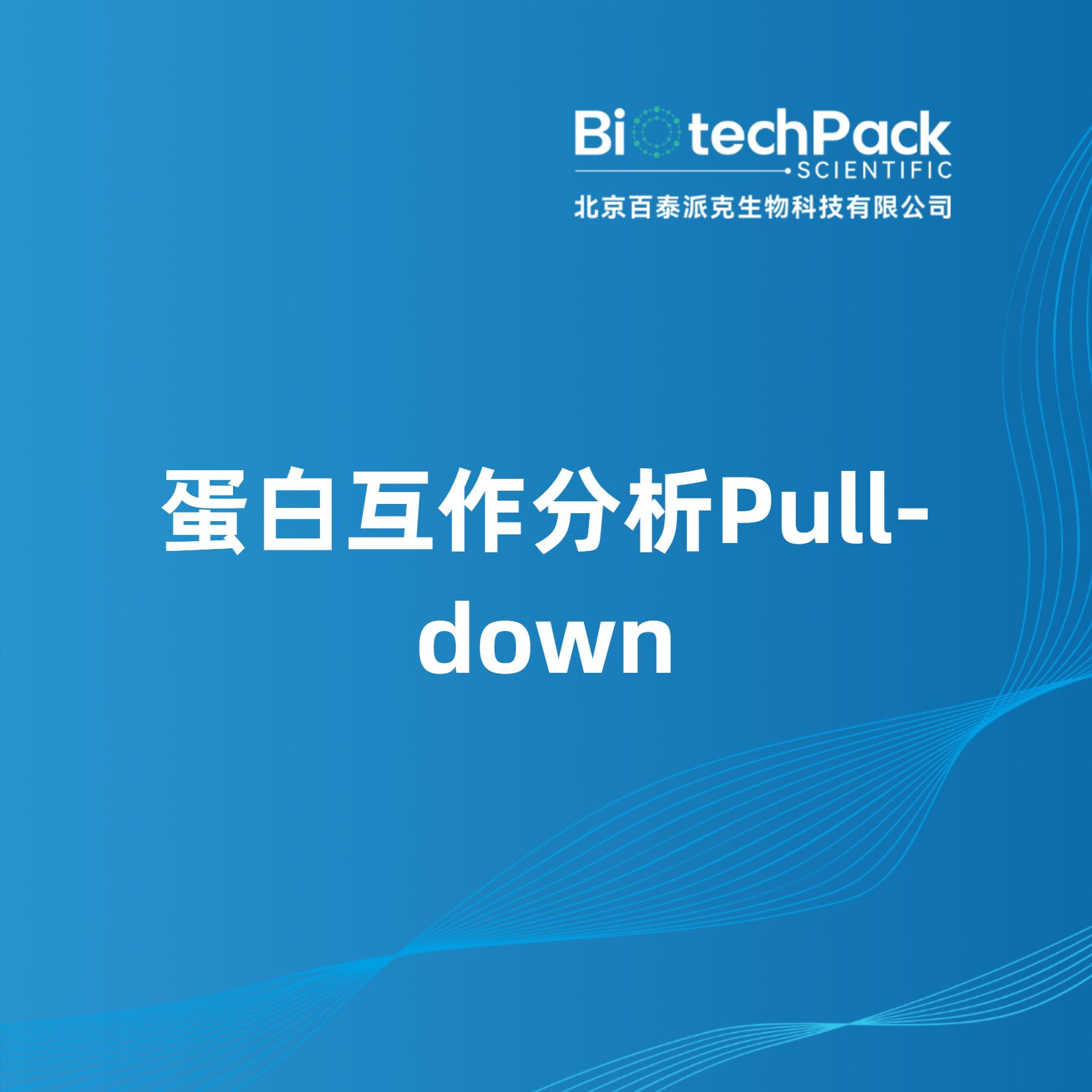 蛋白互作分析Pull-down产品图