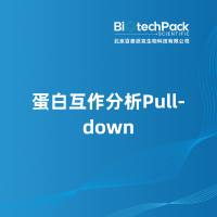 蛋白互作分析Pull-down