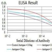 Mouse Monoclonal Antibody to CD147