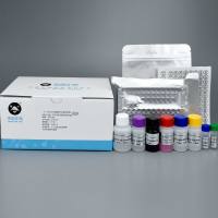 人（Human）庚型肝炎病毒抗原（HGV-Ag）ELISA定性检测试剂盒