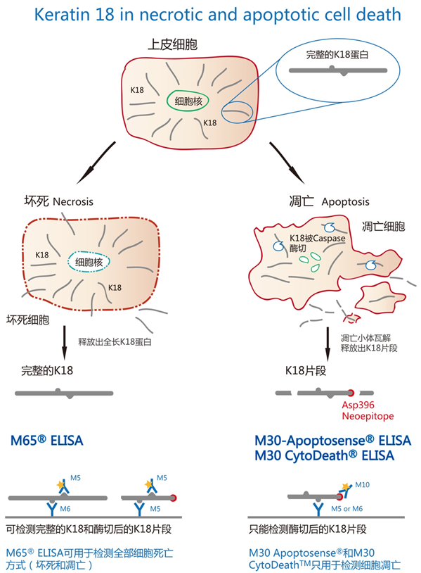 1014576006171606.jpg 1014576006171606.jpg
