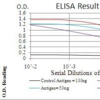 Mouse Monoclonal Antibody to CD168