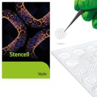 Stencell - Allegro（含2个细胞培养区，用于细胞迁移和伤口愈合实验研究）