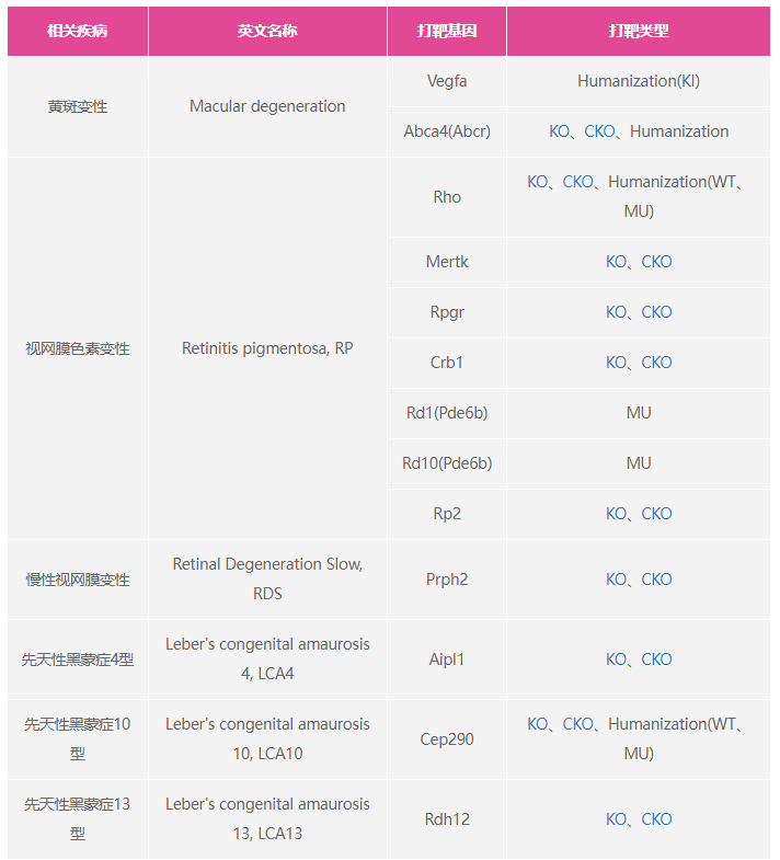 小模型大视野：眼科疾病模型及其应用研究