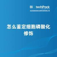 怎么鉴定细胞磷酸化修饰