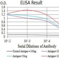 Mouse Monoclonal Antibody to CD166