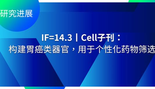IF=14.3丨Cell子刊：构建胃癌类器官，用于个性化药物筛选