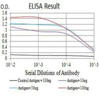 Mouse Monoclonal Antibody to CD161