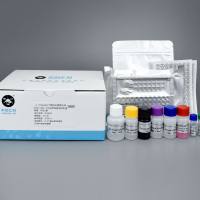 人（Human）丁型肝炎病毒抗体（HDV-Ab） ELISA定性检测试剂盒