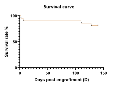 重度免疫缺陷小鼠C-NKG