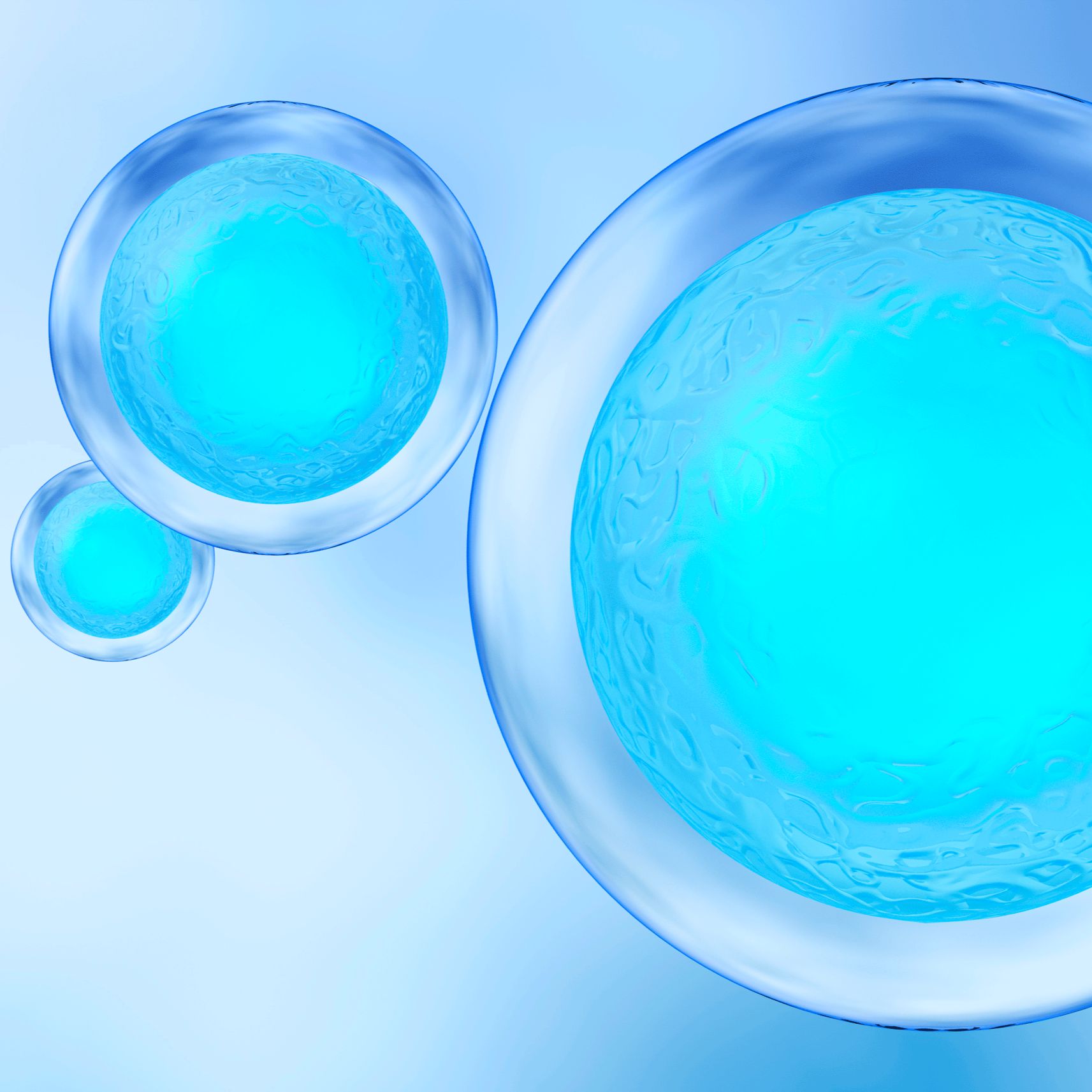 外泌体专用无血清培养基（无酚红）