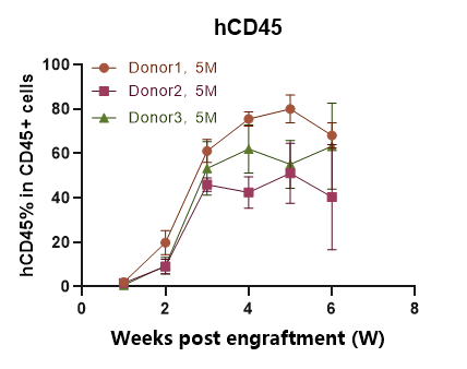 重度免疫缺陷小鼠C-NKG