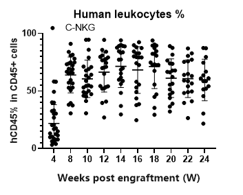 重度免疫缺陷小鼠C-NKG