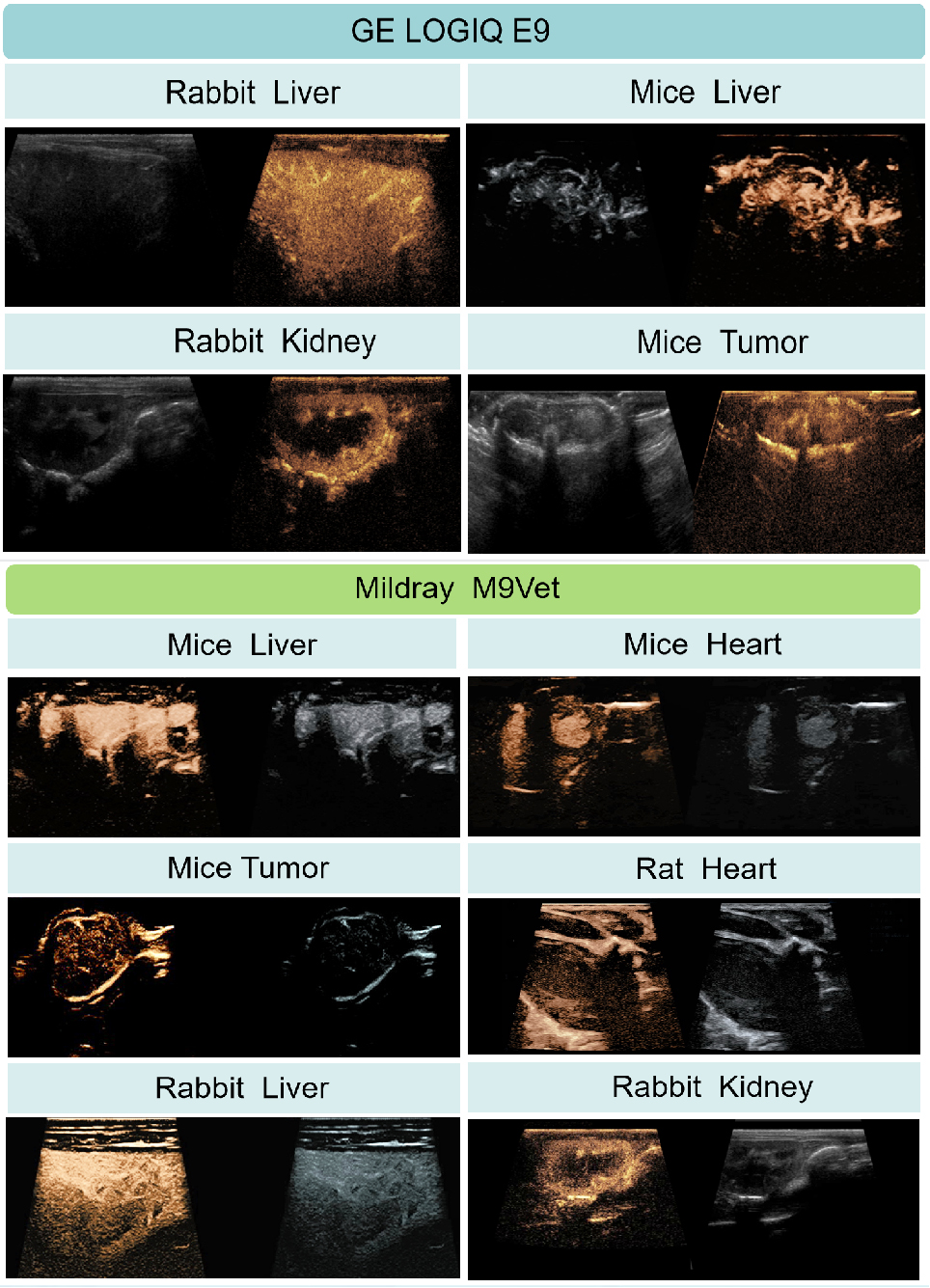 载药超声微泡造影剂定制