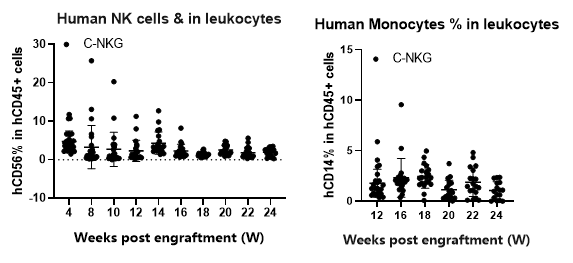 重度免疫缺陷小鼠C-NKG