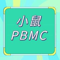 小鼠PBMC