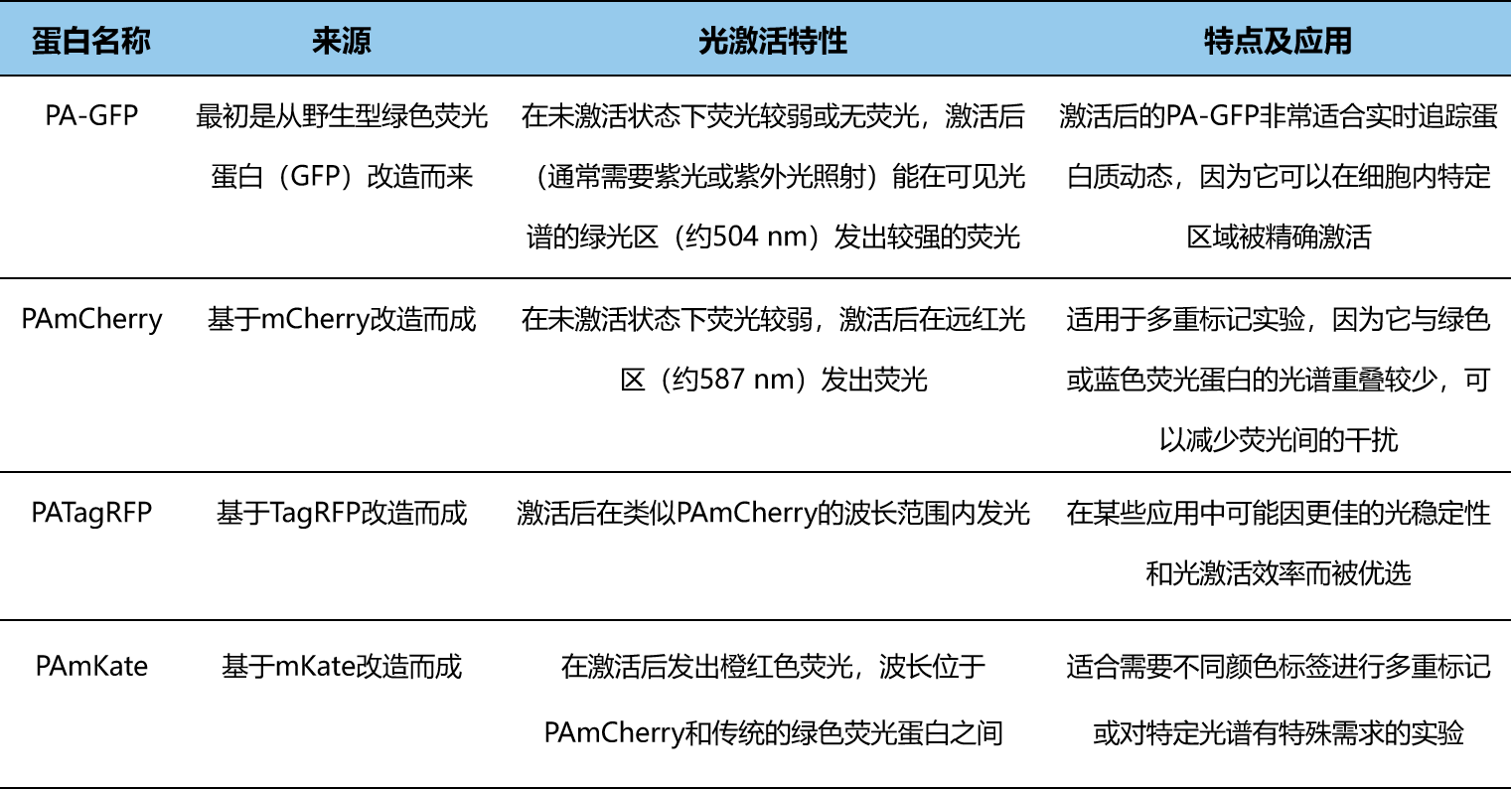 新型荧光蛋白：光激活、光转化与光控开关的奇妙世界