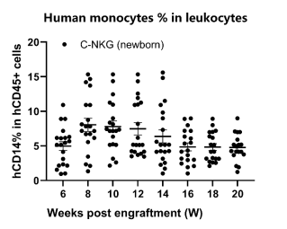 重度免疫缺陷小鼠C-NKG