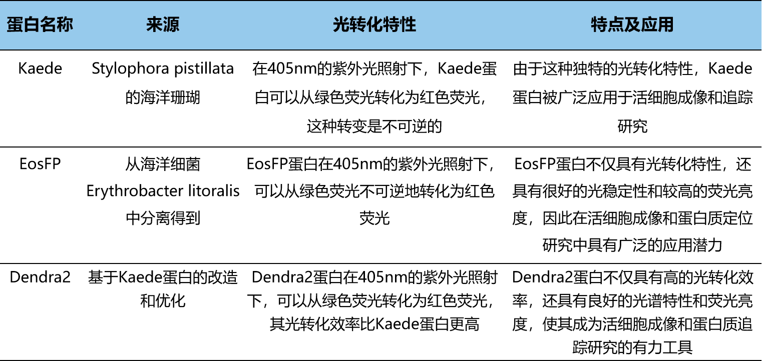 新型荧光蛋白：光激活、光转化与光控开关的奇妙世界