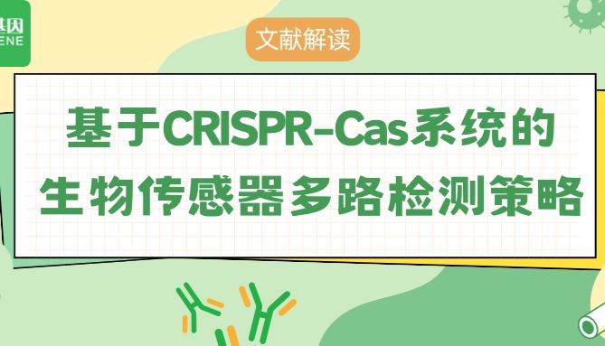 【文献解读】基于CRISPR-Cas系统的生物传感器多路检测策略