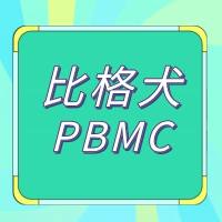 比格犬PBMC