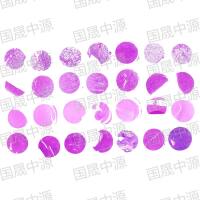 检测实验丨组织芯片HE染色实验