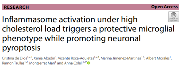 科研笔记｜如何做好SH-SY5Y的细胞培养与基因编辑