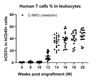 重度免疫缺陷小鼠C-NKG