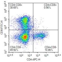 检测实验丨流式表面抗原鉴定实验