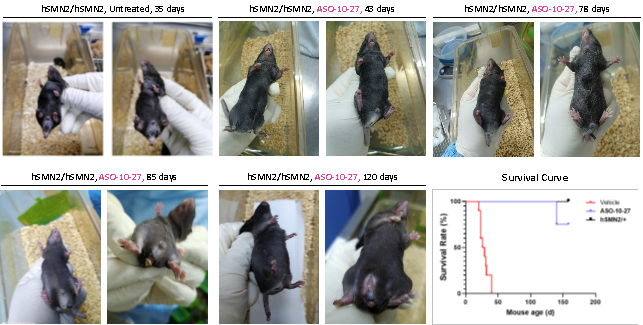 产品细节图片10