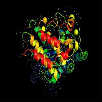 Recombinant Human TCEAL8产品图