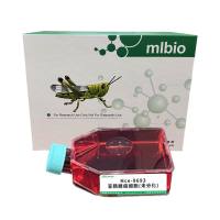 Hce-8693盲肠腺癌细胞(未分化)