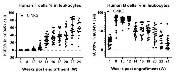 重度免疫缺陷小鼠C-NKG
