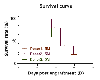重度免疫缺陷小鼠C-NKG