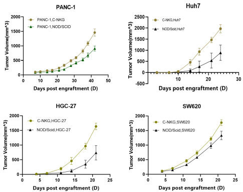 重度免疫缺陷小鼠C-NKG