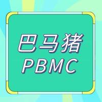 巴马猪PBMC