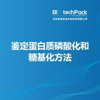 鉴定蛋白质磷酸化和糖基化方法