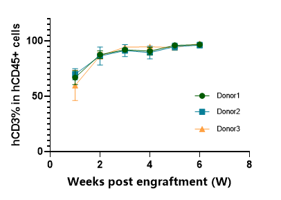 重度免疫缺陷小鼠C-NKG