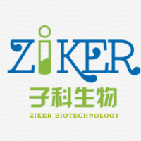 NH水溶液(1mol/L,无菌)