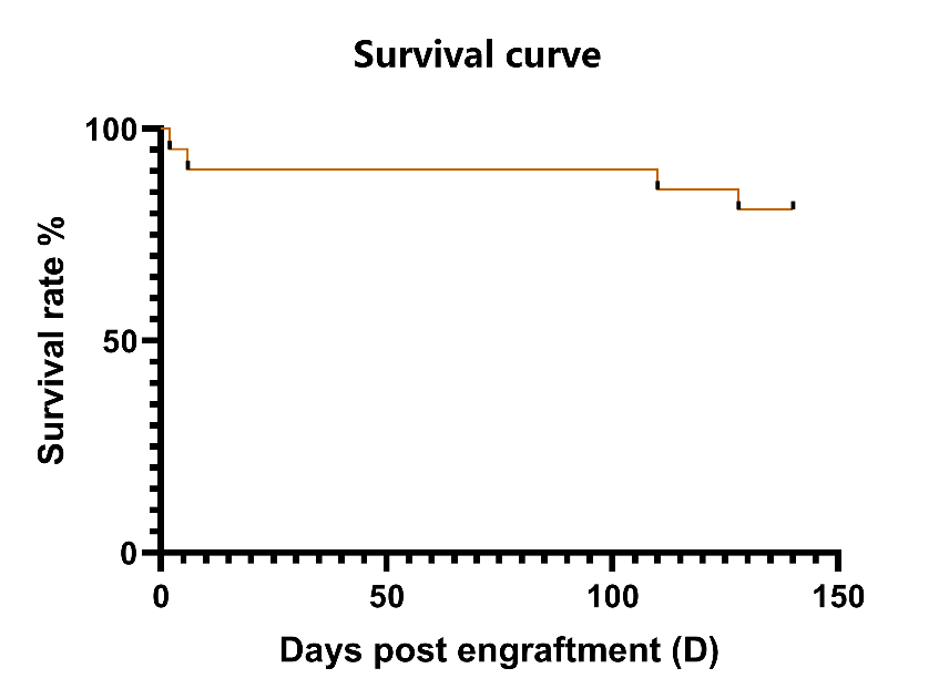 产品细节图片15