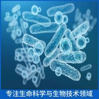 Recombinant Human CXXC5 protein , N-Strep tag