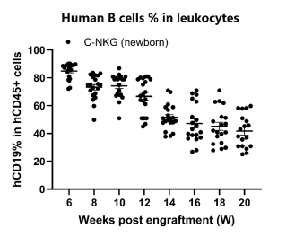 重度免疫缺陷小鼠C-NKG