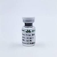 Nano Prime超声微泡造影剂