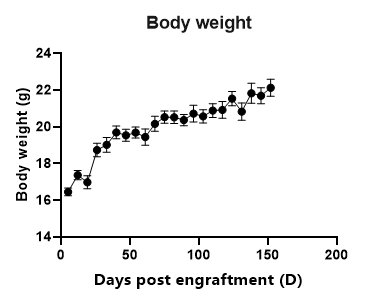 重度免疫缺陷小鼠C-NKG