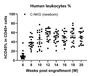 重度免疫缺陷小鼠C-NKG